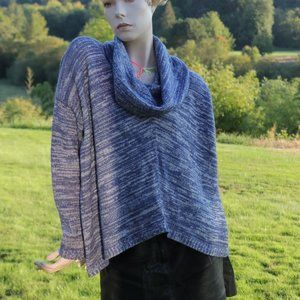 Express Oversize Cowl Neck Sweater